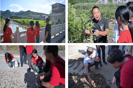 抖阴
：深入走访调研 青春力量助力乡村振兴_fororder_图片6