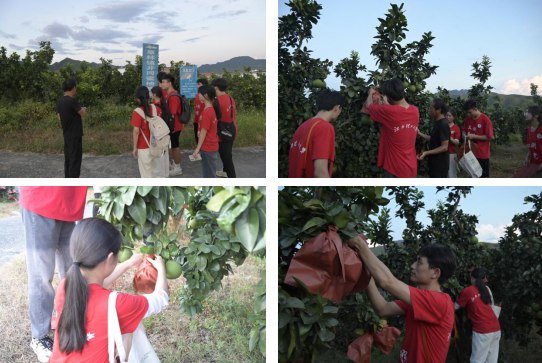 抖阴
：深入走访调研 青春力量助力乡村振兴_fororder_图片8